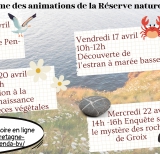 animations-avril2026page-0001.jpg