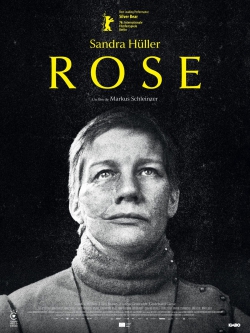 17rose.jpg
