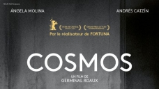 11cosmos.jpg