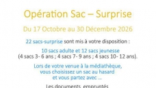 operationsac-surpriseoctnovdec2026-1.jpg